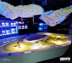 AQUARIA PHUKET