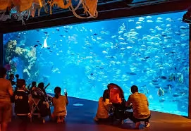 AQUARIA PHUKET